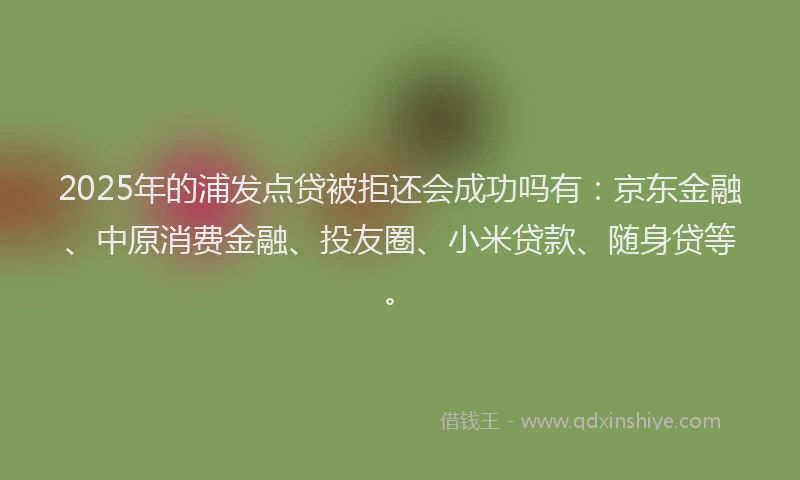 2025年的浦发点贷被拒还会成功吗有：京东金融、中原消费金融、投友圈、小米贷款、随身贷等。