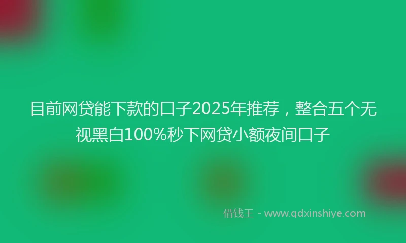 目前网贷能下款的口子2025年推荐，整合五个无视黑白100%秒下网贷小额夜间口子