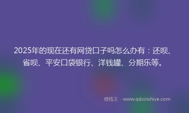2025年的现在还有网贷口子吗怎么办有：还呗、省呗、平安口袋银行、洋钱罐、分期乐等。