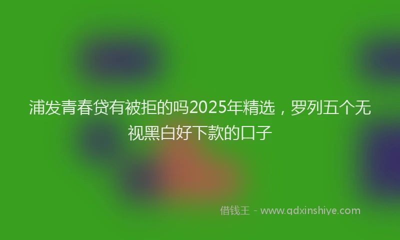 浦发青春贷有被拒的吗2025年精选，罗列五个无视黑白好下款的口子