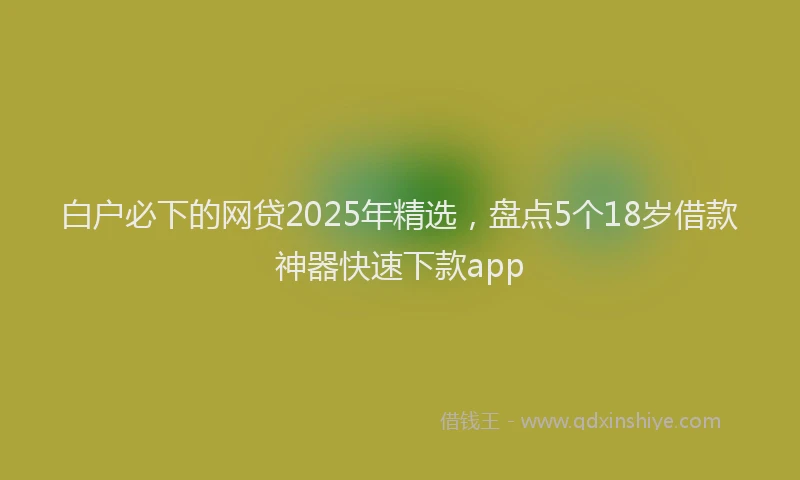白户必下的网贷2025年精选，盘点5个18岁借款神器快速下款app