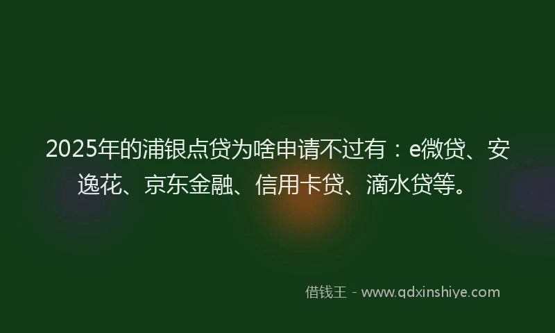 2025年的浦银点贷为啥申请不过有：e微贷、安逸花、京东金融、信用卡贷、滴水贷等。