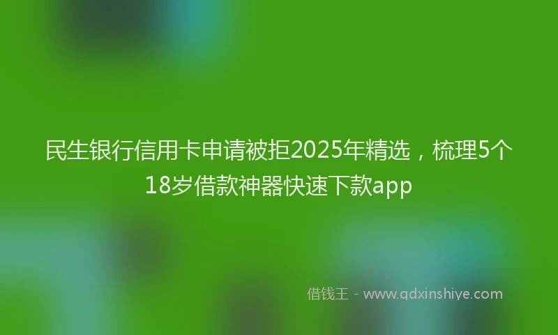 民生银行信用卡申请被拒2025年精选，梳理5个18岁借款神器快速下款app