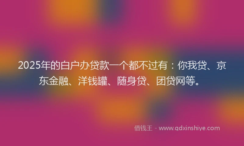 2025年的白户办贷款一个都不过有：你我贷、京东金融、洋钱罐、随身贷、团贷网等。