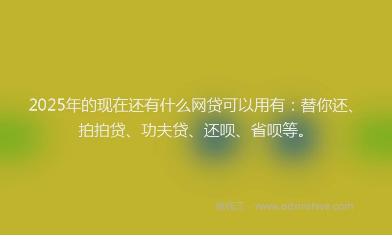 2025年的现在还有什么网贷可以用有：替你还、拍拍贷、功夫贷、还呗、省呗等。