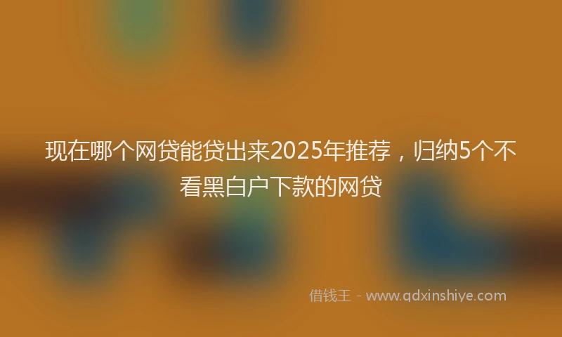 现在哪个网贷能贷出来2025年推荐，归纳5个不看黑白户下款的网贷