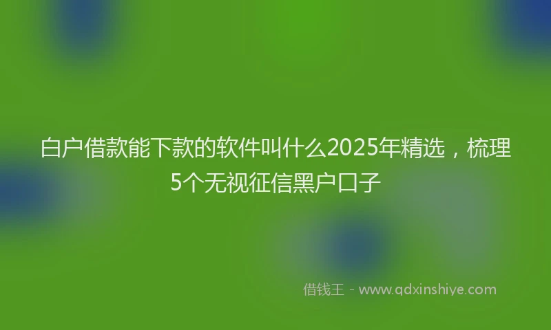 白户借款能下款的软件叫什么2025年精选，梳理5个无视征信黑户口子