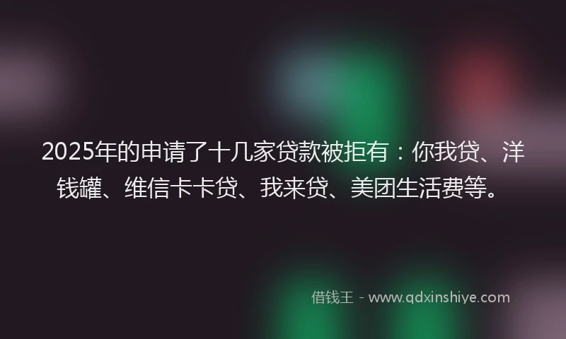 2025年的申请了十几家贷款被拒有：你我贷、洋钱罐、维信卡卡贷、我来贷、美团生活费等。