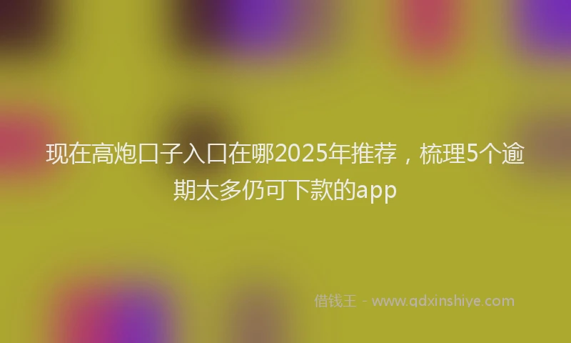 现在高炮口子入口在哪2025年推荐，梳理5个逾期太多仍可下款的app