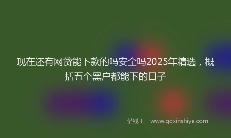 现在还有网贷能下款的吗安全吗2025年精选，概括五个黑户都能下的口子