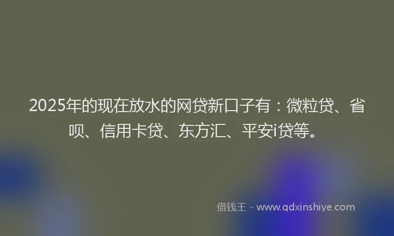 2025年的现在放水的网贷新口子有：微粒贷、省呗、信用卡贷、东方汇、平安i贷等。