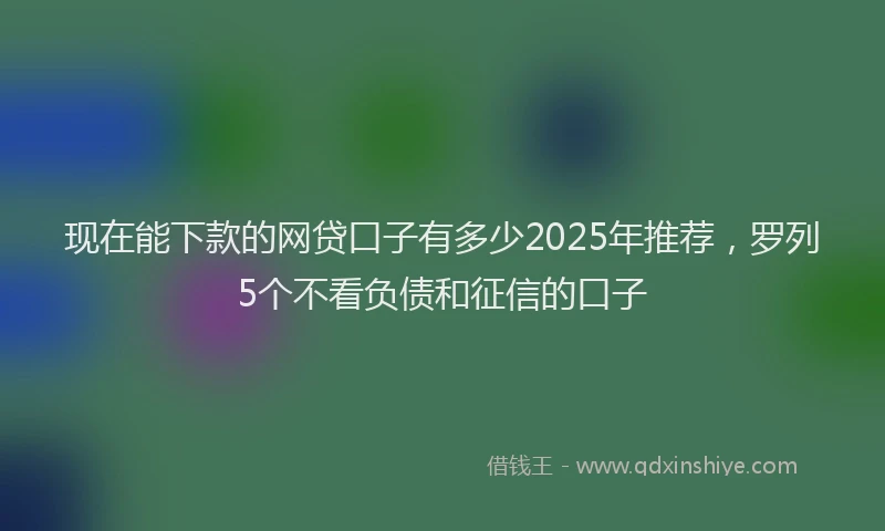 现在能下款的网贷口子有多少2025年推荐，罗列5个不看负债和征信的口子