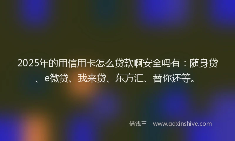 2025年的用信用卡怎么贷款啊安全吗有：随身贷、e微贷、我来贷、东方汇、替你还等。