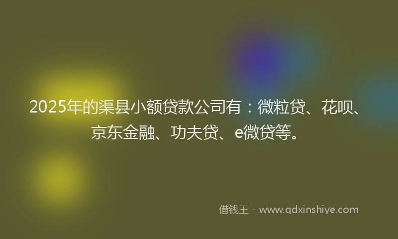 2025年的渠县小额贷款公司有：微粒贷、花呗、京东金融、功夫贷、e微贷等。