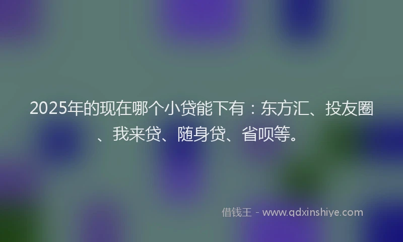 2025年的现在哪个小贷能下有：东方汇、投友圈、我来贷、随身贷、省呗等。