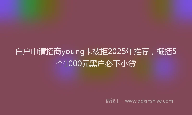 白户申请招商young卡被拒2025年推荐，概括5个1000元黑户必下小贷