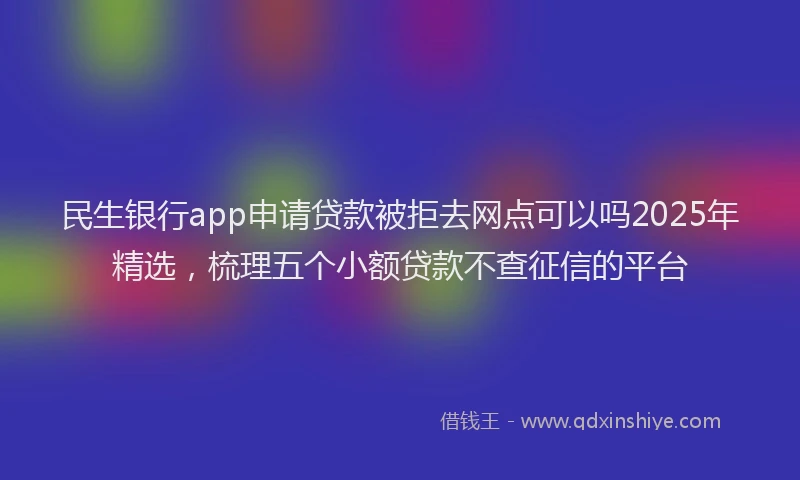 民生银行app申请贷款被拒去网点可以吗2025年精选，梳理五个小额贷款不查征信的平台