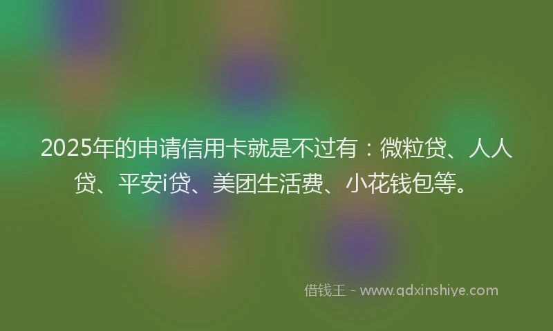 2025年的申请信用卡就是不过有：微粒贷、人人贷、平安i贷、美团生活费、小花钱包等。