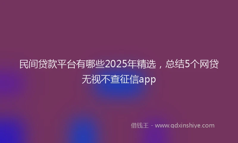 民间贷款平台有哪些2025年精选，总结5个网贷无视不查征信app