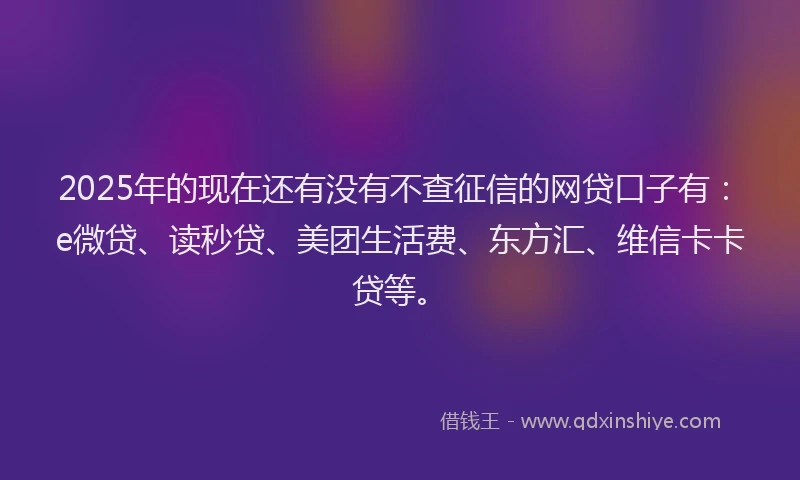 2025年的现在还有没有不查征信的网贷口子有：e微贷、读秒贷、美团生活费、东方汇、维信卡卡贷等。
