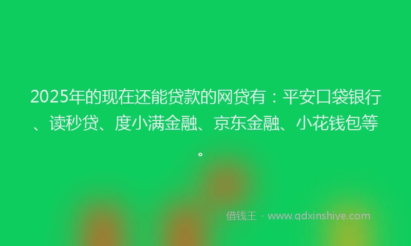2025年的现在还能贷款的网贷有：平安口袋银行、读秒贷、度小满金融、京东金融、小花钱包等。