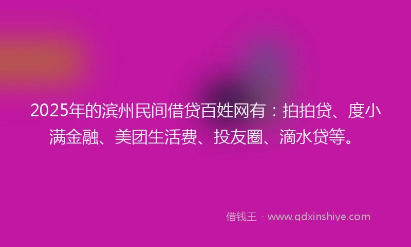 2025年的滨州民间借贷百姓网有：拍拍贷、度小满金融、美团生活费、投友圈、滴水贷等。