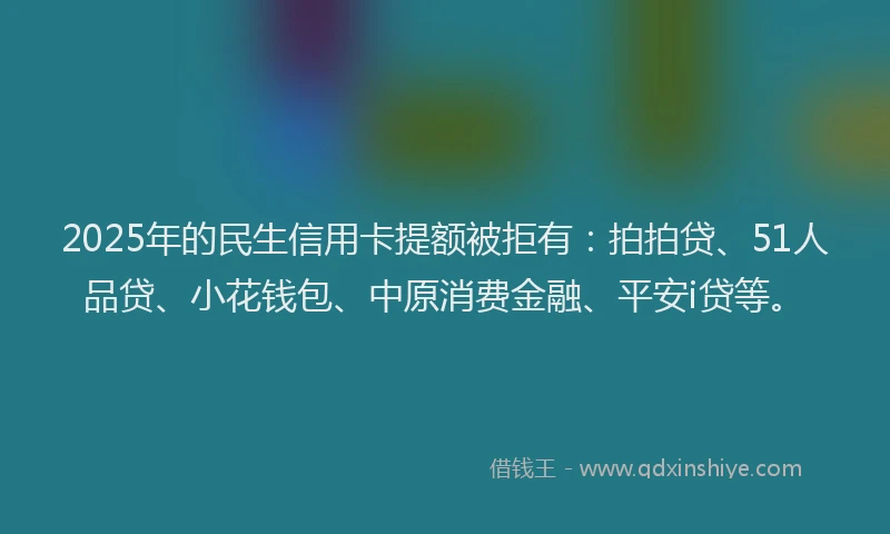 2025年的民生信用卡提额被拒有：拍拍贷、51人品贷、小花钱包、中原消费金融、平安i贷等。