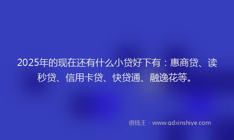 2025年的现在还有什么小贷好下有：惠商贷、读秒贷、信用卡贷、快贷通、融逸花等。