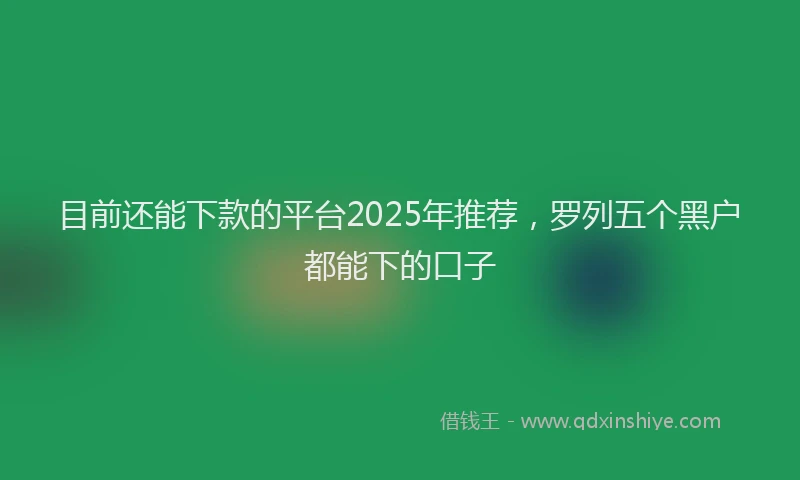 目前还能下款的平台2025年推荐，罗列五个黑户都能下的口子