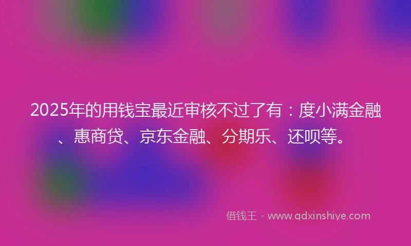 2025年的用钱宝最近审核不过了有：度小满金融、惠商贷、京东金融、分期乐、还呗等。