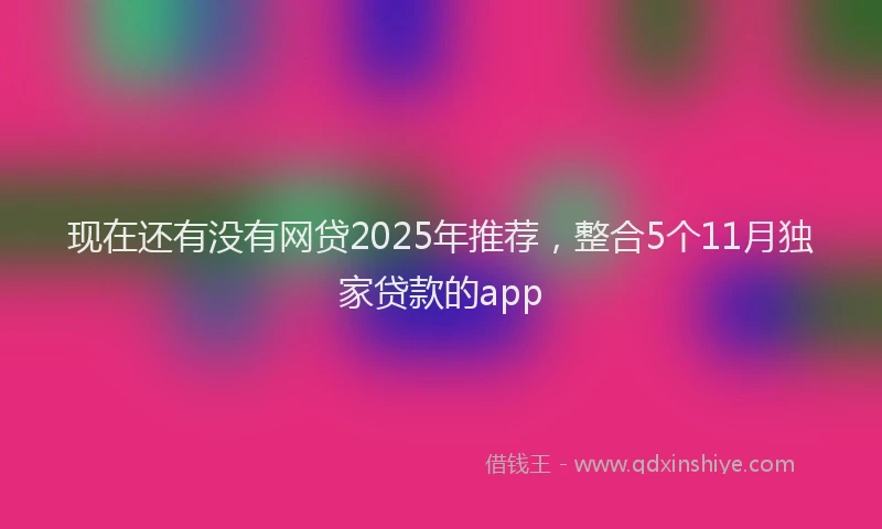 现在还有没有网贷2025年推荐，整合5个11月独家贷款的app