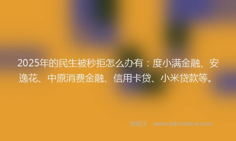 2025年的民生被秒拒怎么办有：度小满金融、安逸花、中原消费金融、信用卡贷、小米贷款等。
