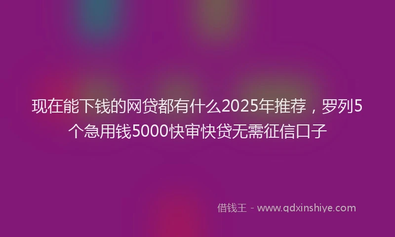 现在能下钱的网贷都有什么2025年推荐，罗列5个急用钱5000快审快贷无需征信口子