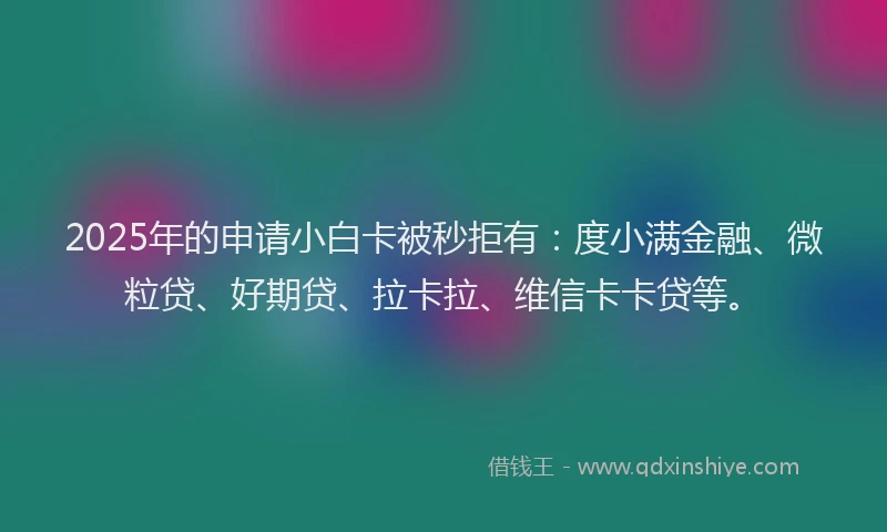 2025年的申请小白卡被秒拒有：度小满金融、微粒贷、好期贷、拉卡拉、维信卡卡贷等。