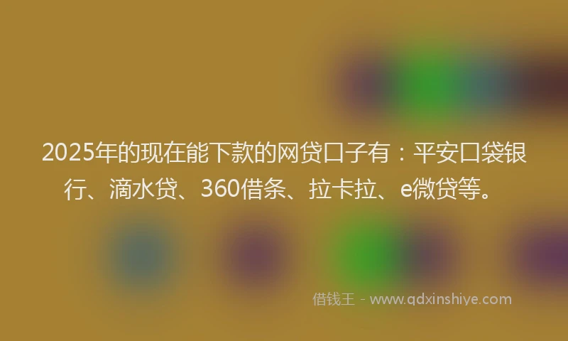 2025年的现在能下款的网贷口子有：平安口袋银行、滴水贷、360借条、拉卡拉、e微贷等。