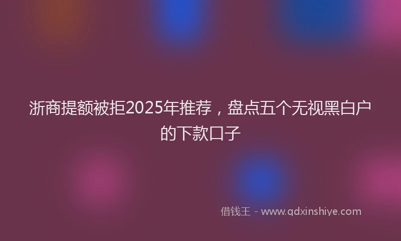 浙商提额被拒2025年推荐，盘点五个无视黑白户的下款口子