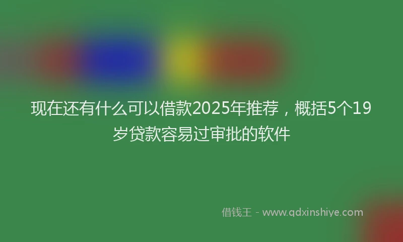 现在还有什么可以借款2025年推荐，概括5个19岁贷款容易过审批的软件