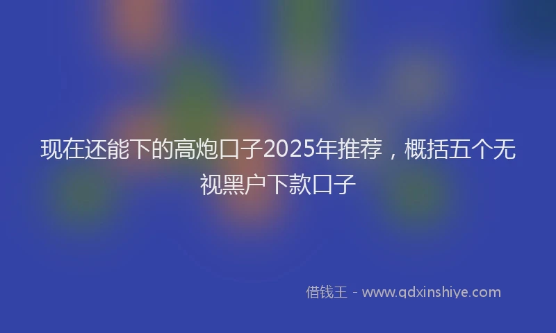 现在还能下的高炮口子2025年推荐，概括五个无视黑户下款口子