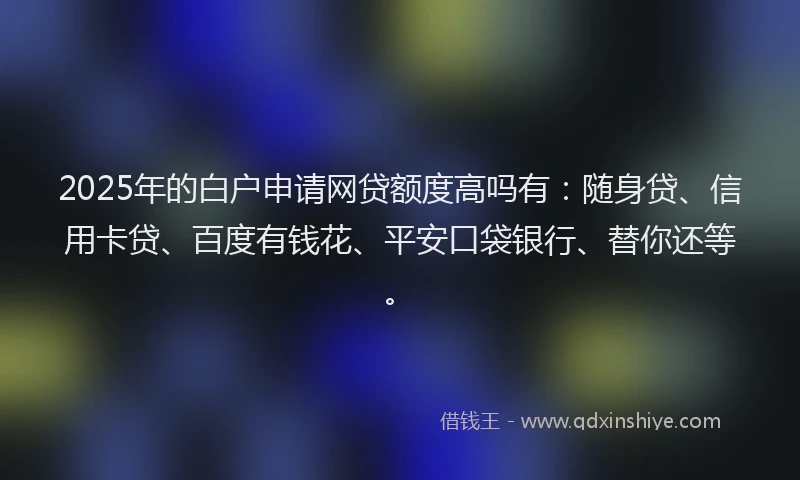 2025年的白户申请网贷额度高吗有：随身贷、信用卡贷、百度有钱花、平安口袋银行、替你还等。