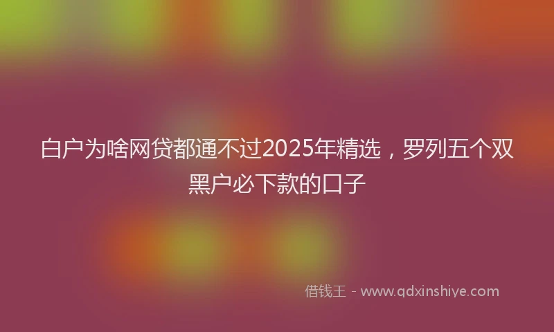 白户为啥网贷都通不过2025年精选，罗列五个双黑户必下款的口子