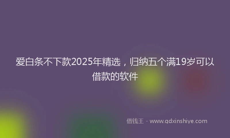 爱白条不下款2025年精选，归纳五个满19岁可以借款的软件