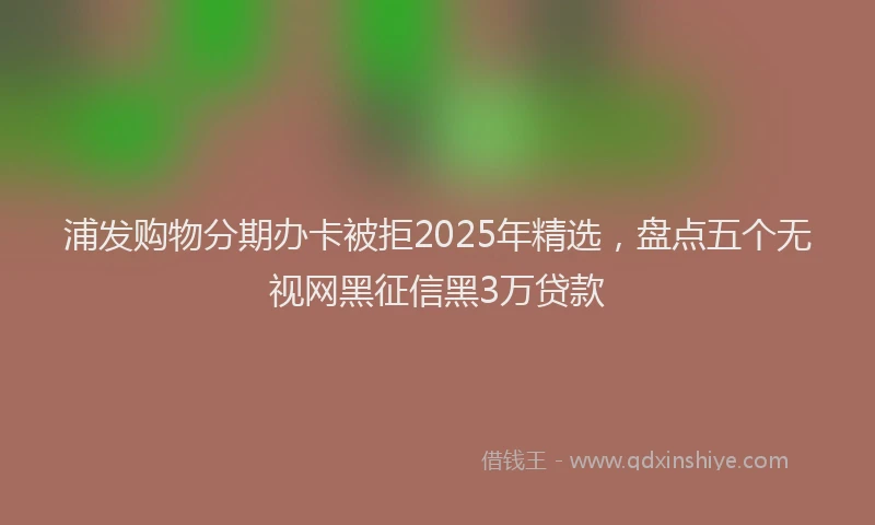 浦发购物分期办卡被拒2025年精选，盘点五个无视网黑征信黑3万贷款