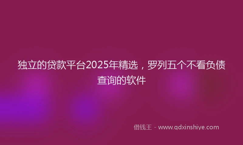 独立的贷款平台2025年精选，罗列五个不看负债查询的软件