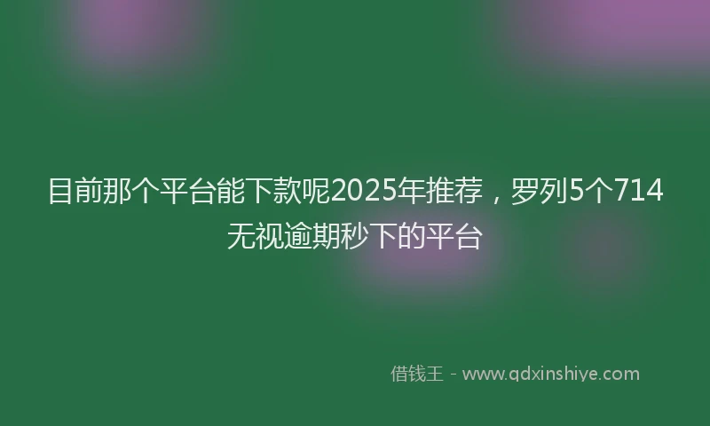 目前那个平台能下款呢2025年推荐，罗列5个714无视逾期秒下的平台