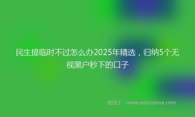 民生提临时不过怎么办2025年精选，归纳5个无视黑户秒下的口子