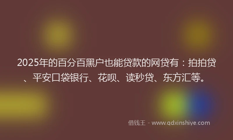 2025年的百分百黑户也能贷款的网贷有：拍拍贷、平安口袋银行、花呗、读秒贷、东方汇等。