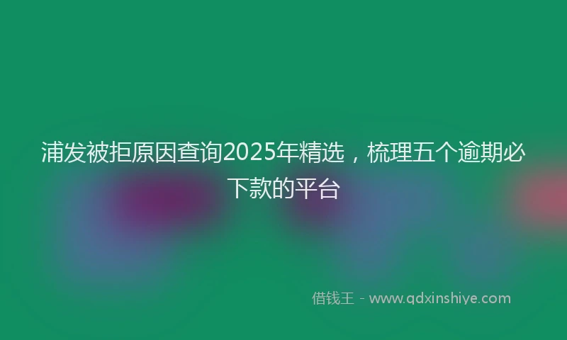 浦发被拒原因查询2025年精选，梳理五个逾期必下款的平台