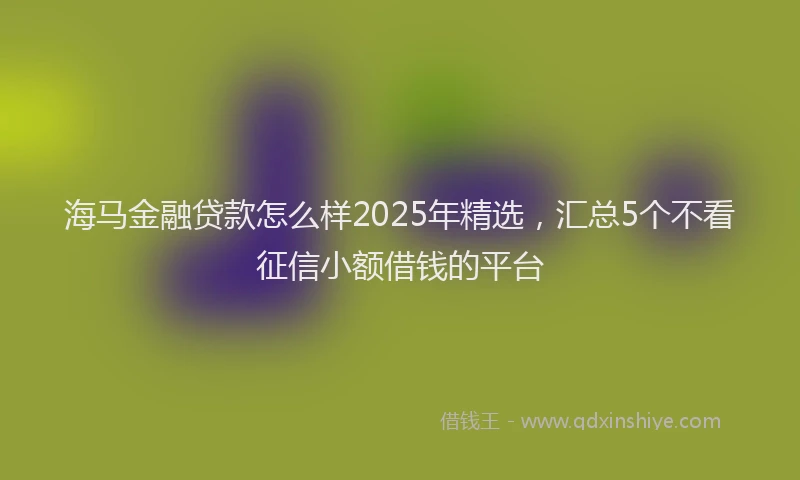 海马金融贷款怎么样2025年精选，汇总5个不看征信小额借钱的平台