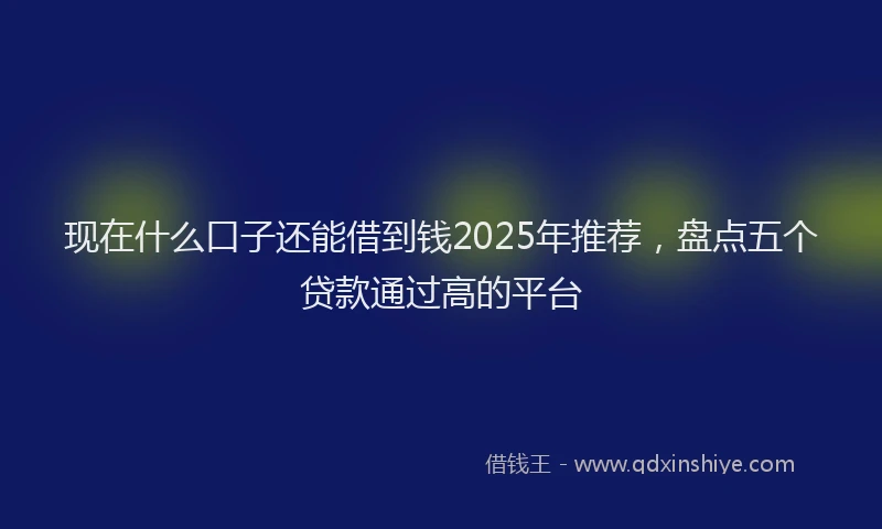 现在什么口子还能借到钱2025年推荐，盘点五个贷款通过高的平台