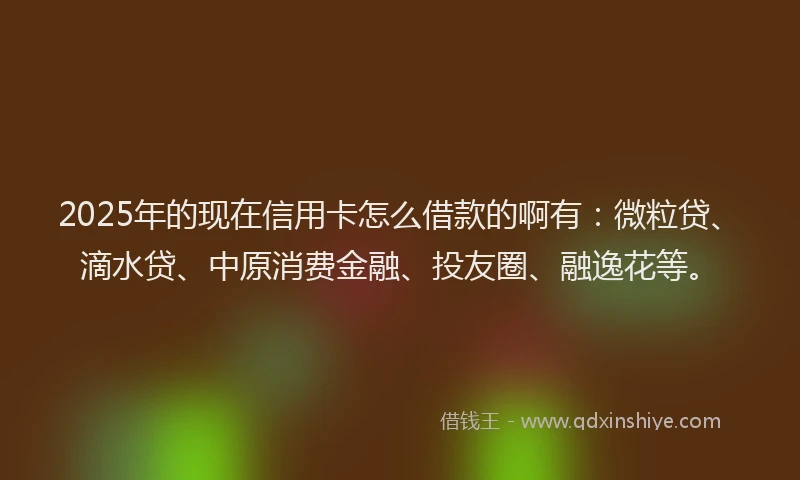 2025年的现在信用卡怎么借款的啊有：微粒贷、滴水贷、中原消费金融、投友圈、融逸花等。